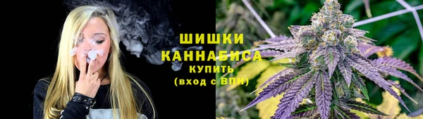 ПСИЛОЦИБИНОВЫЕ ГРИБЫ Михайловка