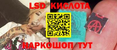 ГАЛЛЮЦИНОГЕННЫЕ ГРИБЫ Гусь-Хрустальный