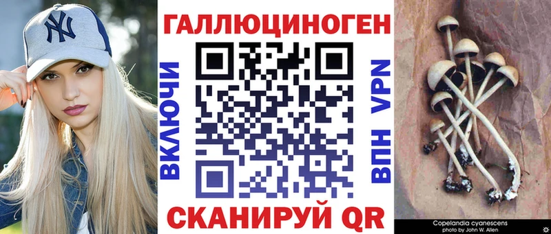 Галлюциногенные грибы Magic Shrooms  мега вход  Зеленокумск 