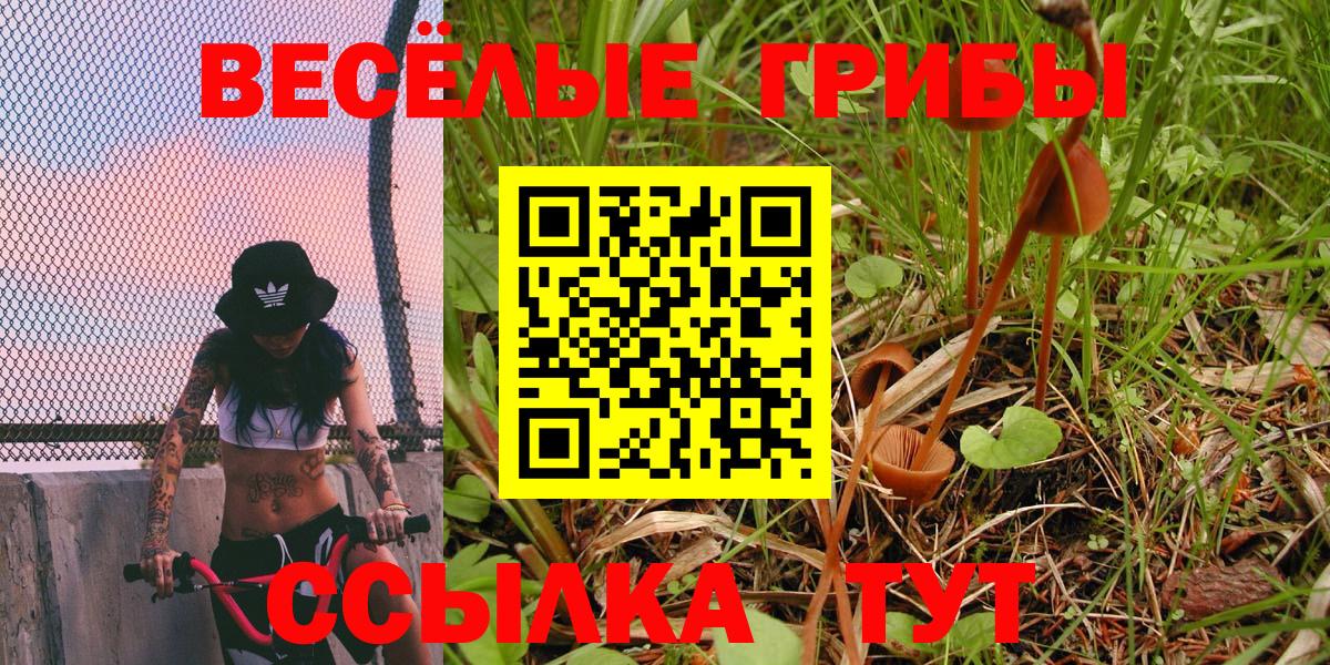 Галлюциногенные грибы MAGIC MUSHROOMS Зеленокумск