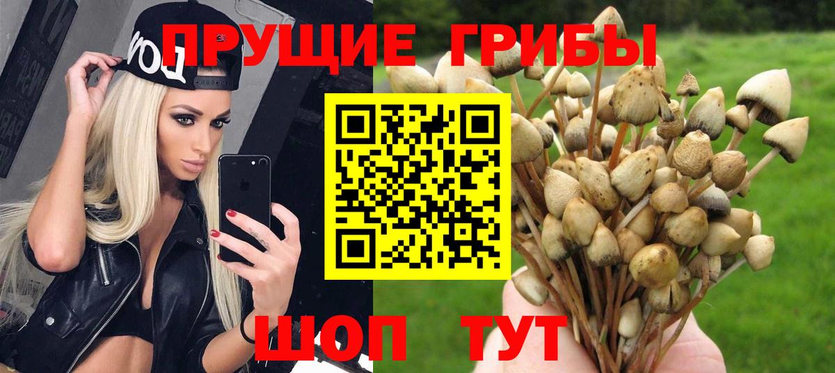 Галлюциногенные грибы мицелий  Вход с VPN  Зеленокумск 