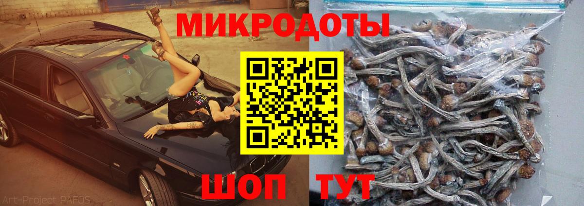 Галлюциногенные грибы Cubensis  Зеленокумск 